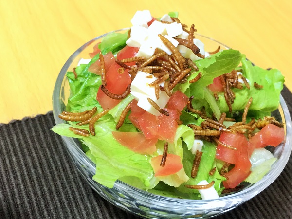 幼虫ミックスは塩味だが、さらに別の味を付けたほうがいいかもしれない。