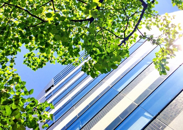 サマータイムってどうなの?