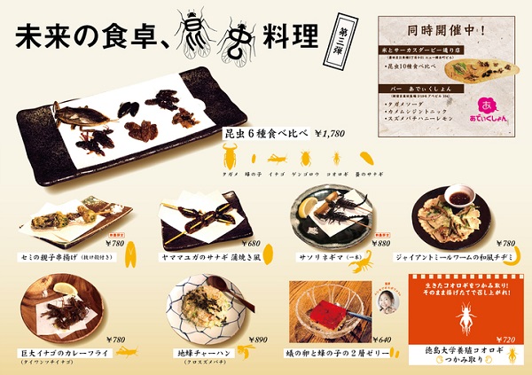 合計13種類の昆虫を9品のメニューで展開