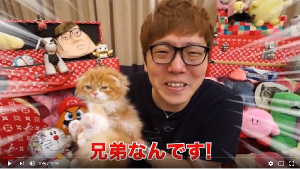 ヒカキン まるお に続き2匹目の猫を飼う 離れ離れになった兄妹を一緒にしてあげたい キャリコネニュース ヒカキン まるお に続き2匹目の猫を飼う 離れ離れになった兄妹を一緒にしてあげたい キャリコネニュース