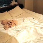 40代既婚ナースとの不倫がバレる → 夫が職場に怒鳴り込み → 子は「お母さんが帰ってこないの！」と電話 　壮絶な不倫の代償を語る男性【後編】