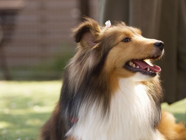 画像はイメージ