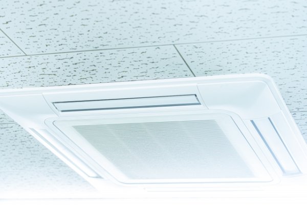 画像はイメージ