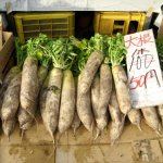 「100円野菜直売所のおじさんに感謝」2300万円の詐欺被害に遭った女性が人の優しさに触れた瞬間