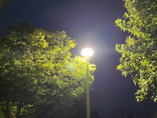 画像はイメージ