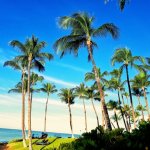 「宿泊費はかからない」とハワイ旅行に誘ったら、「常識的にあり得ない」と全否定され友情終了した話