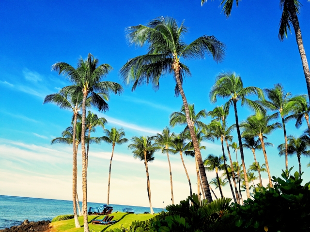 画像はイメージ