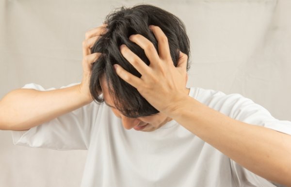 画像はイメージ