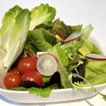 ランチのサラダに虫混入…店員に伝えるも「その虫が今度は死んでいました」　ある女性客の不満