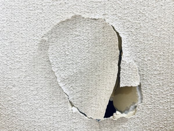 画像はイメージ