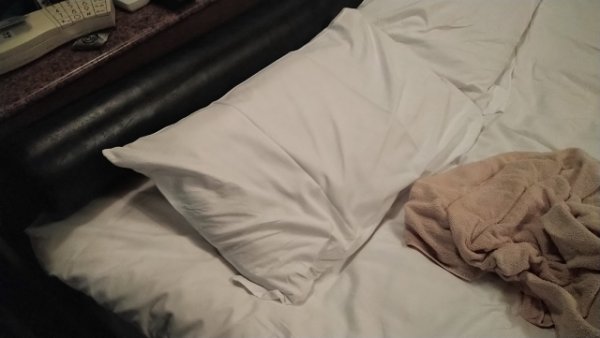 画像はイメージ