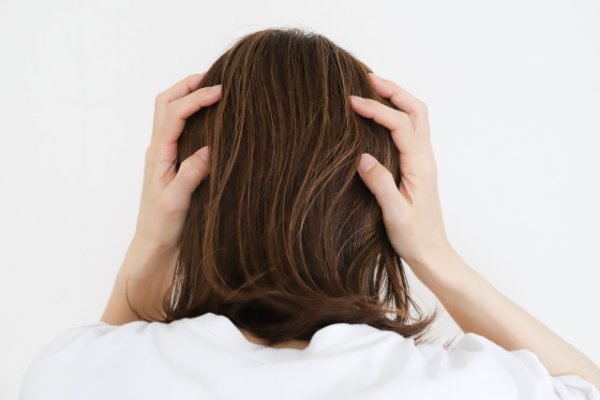 画像はイメージ