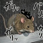 【大変】隣家の取り壊しで…ネズミ大量襲来！ 衝撃のご近所トラブル【実録マンガ】