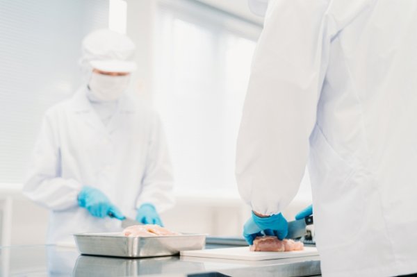 画像はイメージ