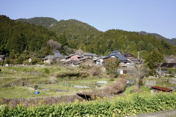 画像はイメージ