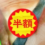 世帯年収1000万円は「富裕層ではなく普通層」？ 「割引されたお刺身を買うのが日々の贅沢」と語る50代女性